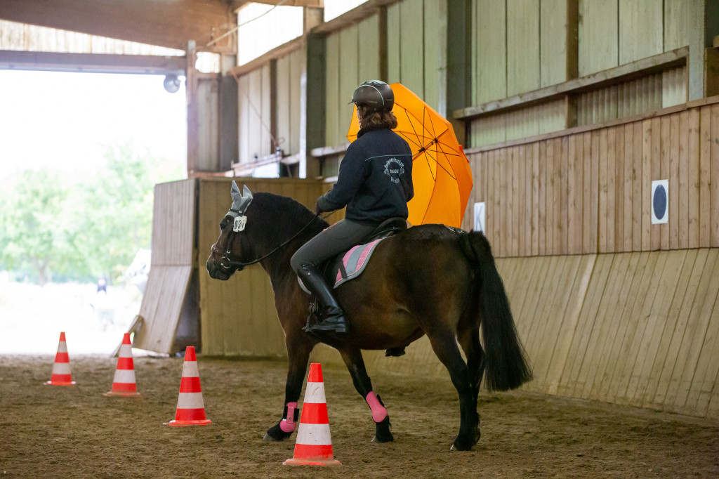 Geschicklichkeitsturnier Rufv "an der Bramau"