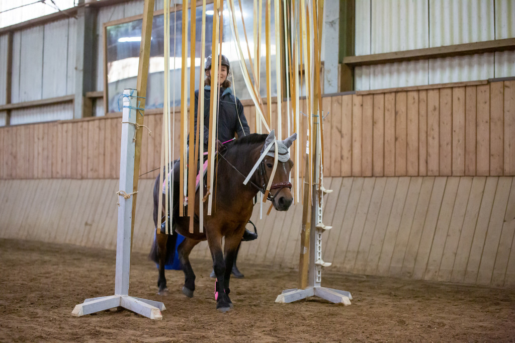 Geschicklichkeitsturnier Rufv "an der Bramau"