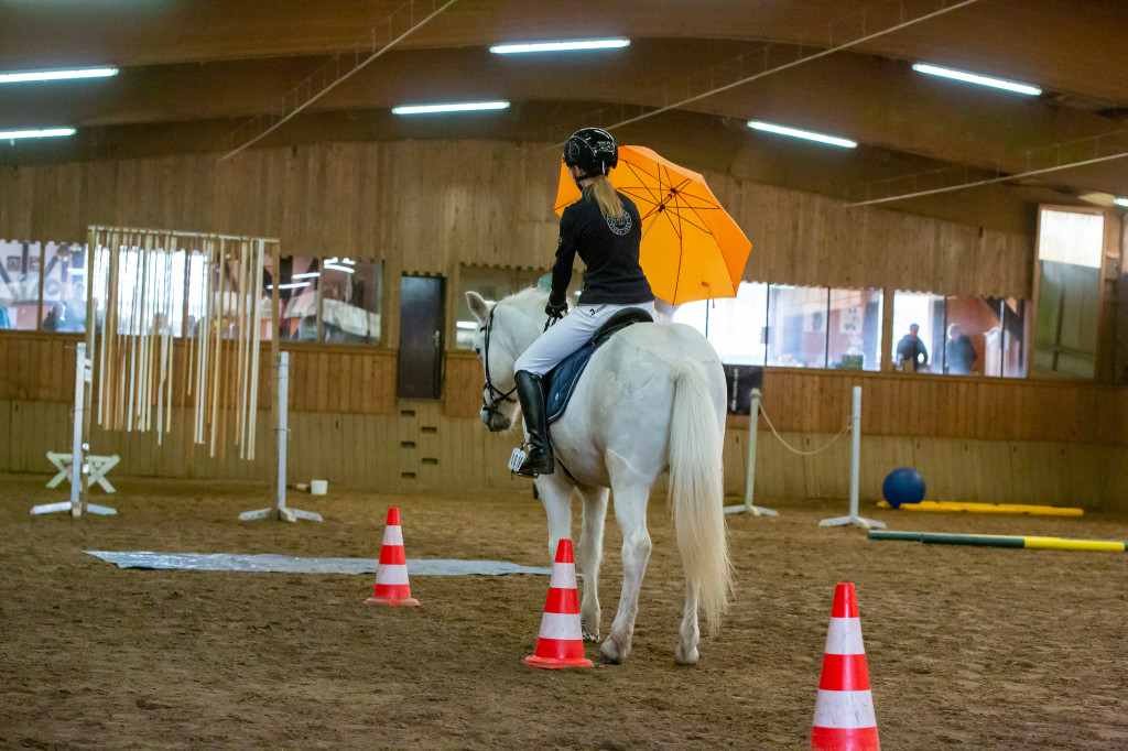 Geschicklichkeitsturnier Rufv "an der Bramau"