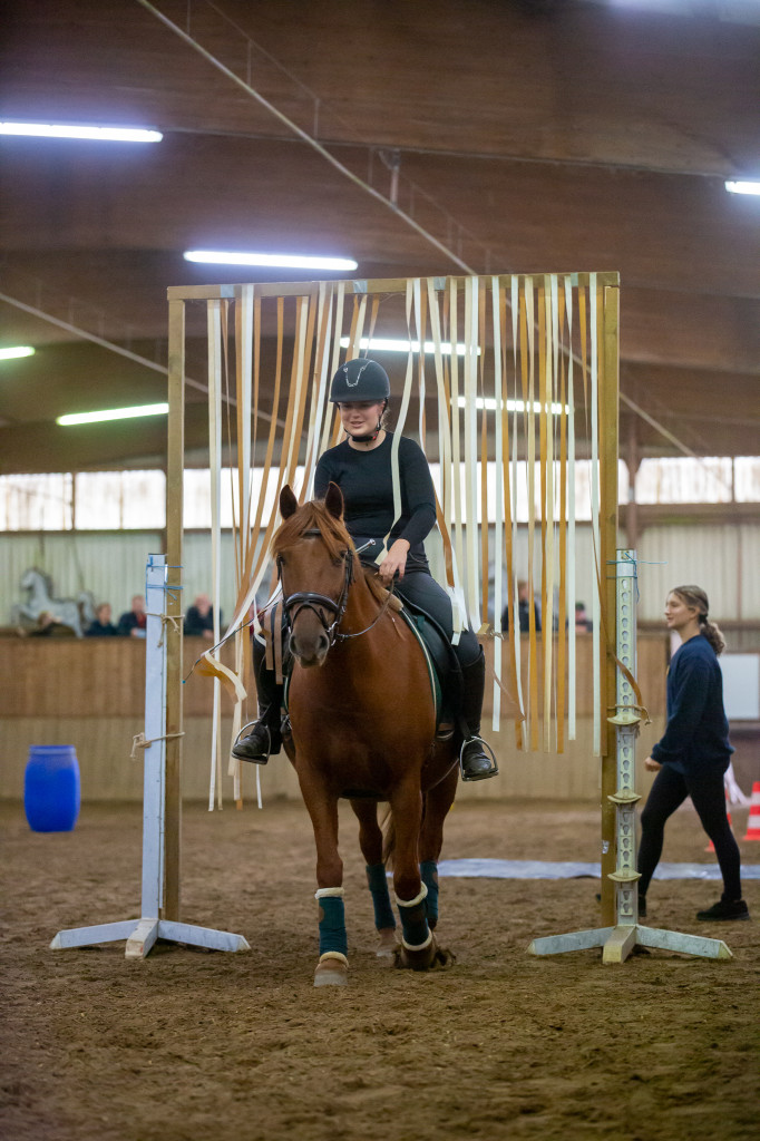 Geschicklichkeitsturnier Rufv "an der Bramau"