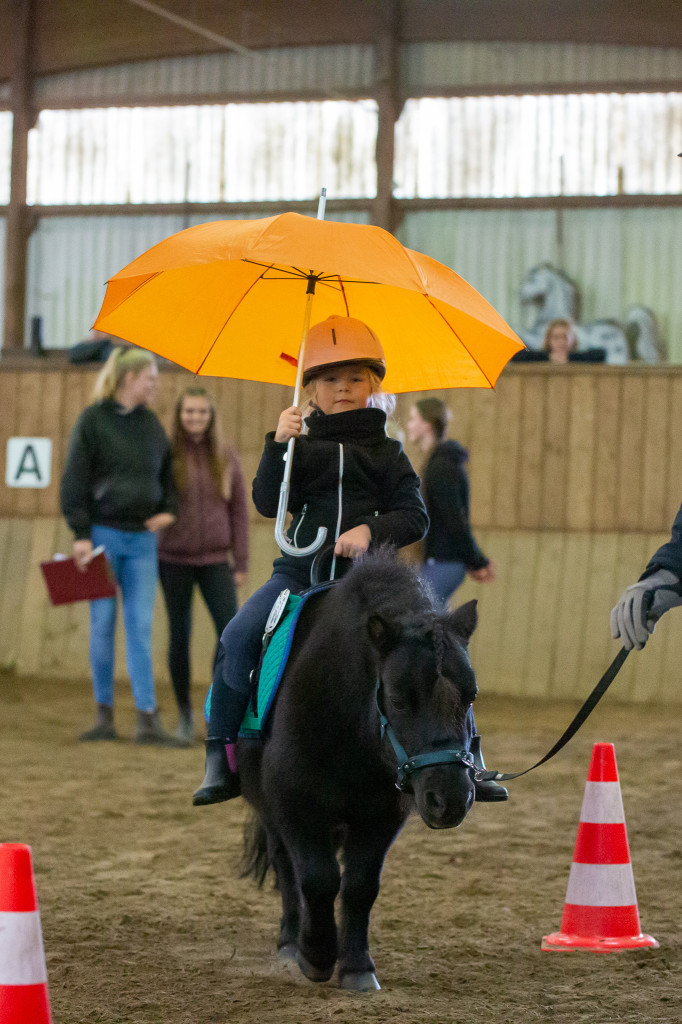 Geschicklichkeitsturnier Rufv "an der Bramau"