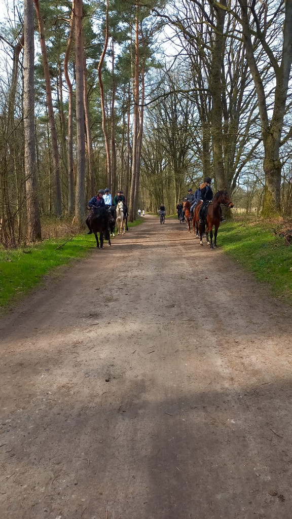 c46560ef-94fa-4570-8be0-3b32f4406b95